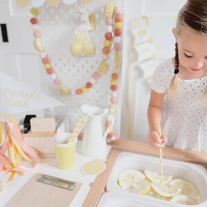 Lemonade Stand Pretend Play Printable | Toddler Summer Activity | Dramatic Play Lemonade Stand | Kids Business Play | Preschool Learning image 11