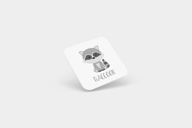 May include: A white square card with a cartoon gray raccoon illustration and the word "RACCOON" printed in black.