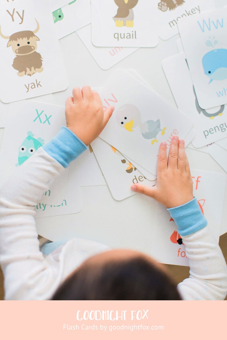 Household Flashcards Learning Appliances Around the House Etsy