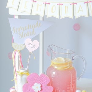 Lemonade Stand Pretend Play Printable | Toddler Summer Activity | Dramatic Play Lemonade Stand | Kids Business Play | Preschool Learning image 4