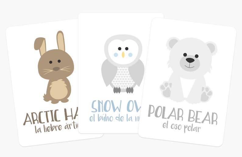 May include: Three illustrated cards with animal images and Spanish text. The first card features a brown arctic hare with the text "ARCTIC HA la liebre &aacute;rtic". The second card features a gray snowy owl with the text "SNOW OV el b&uacute;ho de la ni". The third card features a white polar bear with the text "POLAR BEAR el oso polar".