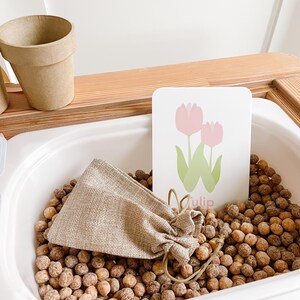 May include: A sensory bin filled with brown spheres, a small hessian bag, and a card with a pink tulip illustration and the word "Tulip". A small, empty brown pot sits on a wooden shelf above the bin.