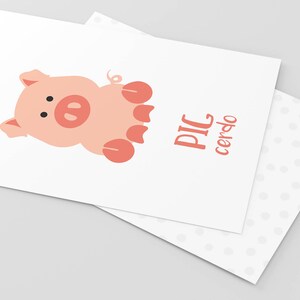 May include: A pink pig illustration with the text "PIC cerdo" in pink.