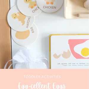 May include: A set of four colorful felt circles with illustrations of an egg, a chick hatching, a chick, and a chicken. The circles are arranged in a circle on a white surface. The text "HATCHLI", "EGG", "CHICH", and "CHICKEN" are written on the circles. The text "TODDLER ACTIVITIES Egg-cellent Eggs Goodnightfox.com" is written on a pink background.