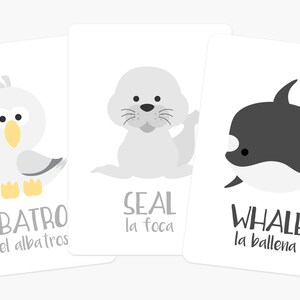 May include: Three illustrated flashcards featuring a gray albatross, a gray seal, and a black and white whale. Each card has the animal's name in English and Spanish.