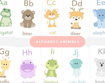 Toddler Learning Flashcards Bundle | Alphabet Numbers Shapes Colors Animals | Montessori Flashcards for Toddlers | Preschool Learning Cards