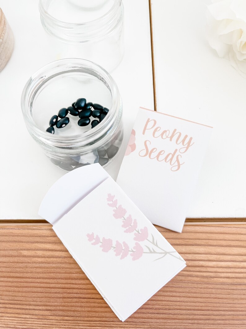 May include: A clear glass jar containing dark blue seeds, alongside two seed packets. One packet displays "Peony Seeds" in a soft pink font. The other packet features a pink floral design.