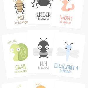 May include: A set of nine colourful flashcards featuring illustrations of different insects and animals, including an ant, spider, worm, snail, fly, dragonfly, and more. Each card has the English and Spanish name of the creature.