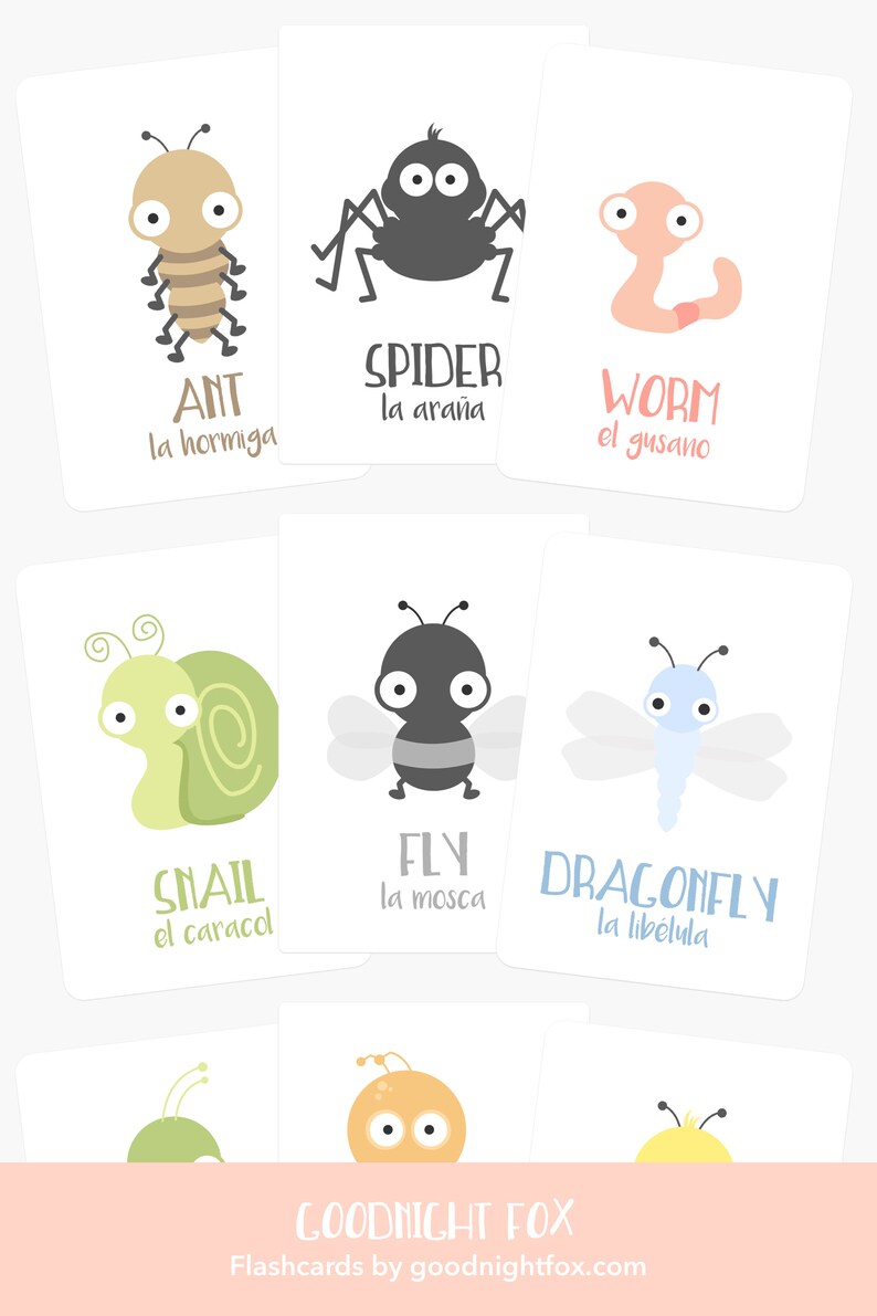 May include: A set of nine colourful flashcards featuring illustrations of different insects and animals, including an ant, spider, worm, snail, fly, dragonfly, and more. Each card has the English and Spanish name of the creature.