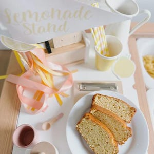 Summer toddler activity using lemonade stand printable kit to practice early math concepts like pricing and money exchange through imaginative and engaging dramatic play.