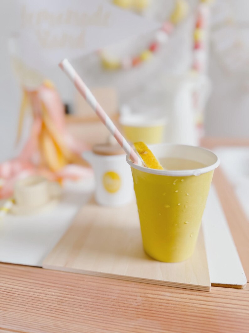 Lemonade Stand Pretend Play Printable | Toddler Summer Activity | Dramatic Play Lemonade Stand | Kids Business Play | Preschool Learning image 17