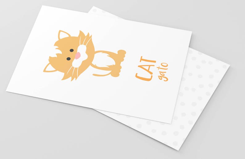 May include: A white card with a cartoon orange cat and the text "CAT gato" in orange.