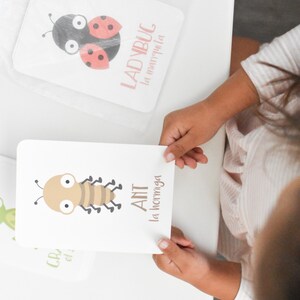 May include: A set of colourful flashcards featuring illustrations of insects, including a ladybug and an ant. The cards are labelled with the English and Spanish names for each insect. The cards are part of a memory game for children.