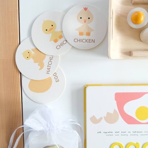 May include: A set of four colorful, illustrated learning cards featuring an egg, a chick hatching, a chick, and a chicken. The cards are on a white surface with a white organza bag containing a card with the word "Eggs" and an illustration of an egg on toast. The cards are part of a learning activity for children.