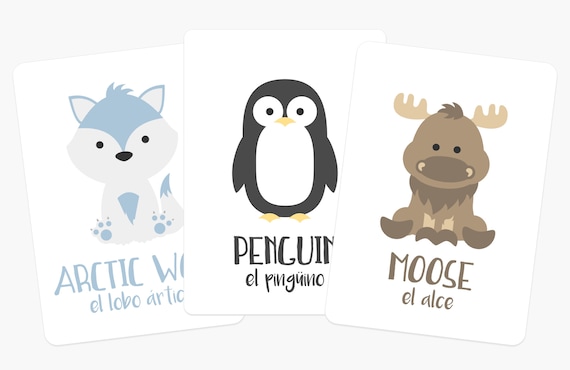 Arctic Animals Flashcards, Kid Education Toy