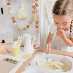 Lemonade Stand Pretend Play Printable | Toddler Summer Activity | Dramatic Play Lemonade Stand | Kids Business Play | Preschool Learning image 12