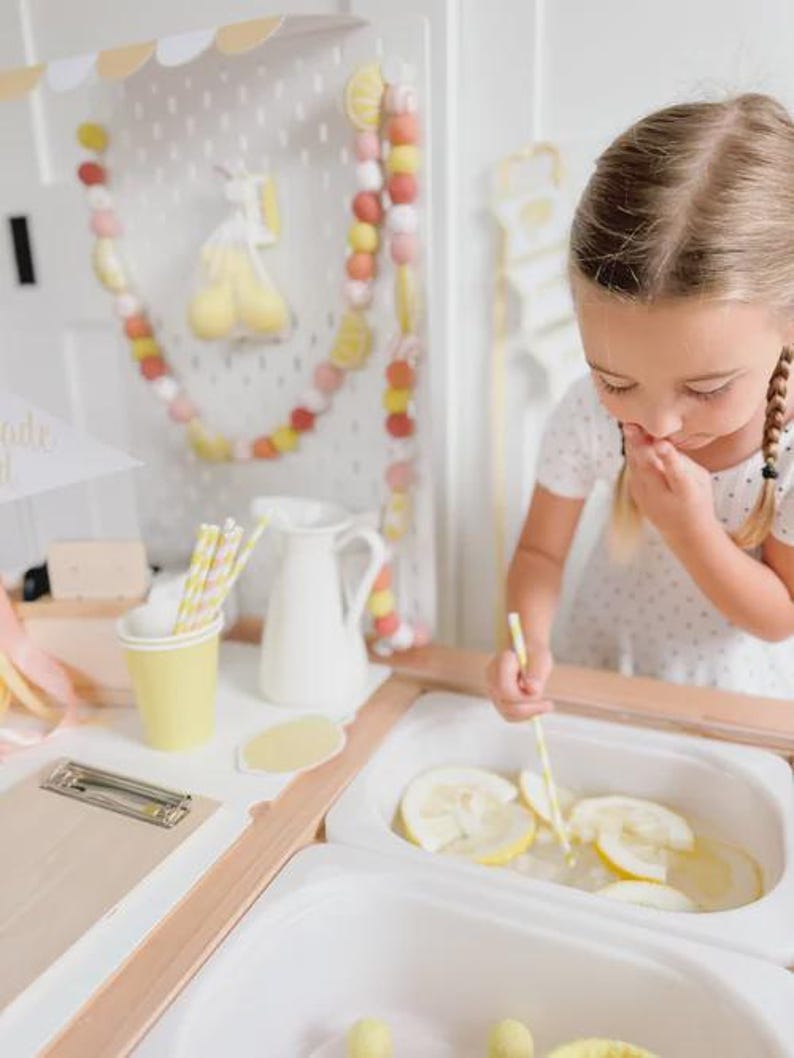 Lemonade Stand Pretend Play Printable | Toddler Summer Activity | Dramatic Play Lemonade Stand | Kids Business Play | Preschool Learning image 12