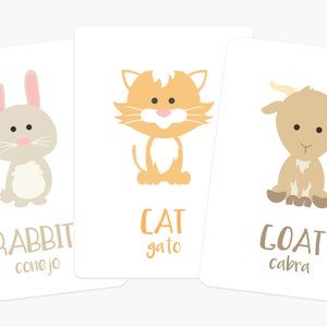 May include: Three flashcards with illustrations of a rabbit, cat, and goat. Each card has the animal's name in English and Spanish.
