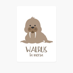 May include: A brown cartoon walrus with large tusks. The text "WALRUS la morsa" is below the walrus.