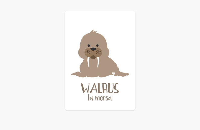 May include: A brown cartoon walrus with large tusks. The text "WALRUS la morsa" is below the walrus.