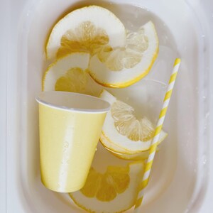 Lemonade Stand Pretend Play Printable | Toddler Summer Activity | Dramatic Play Lemonade Stand | Kids Business Play | Preschool Learning image 19