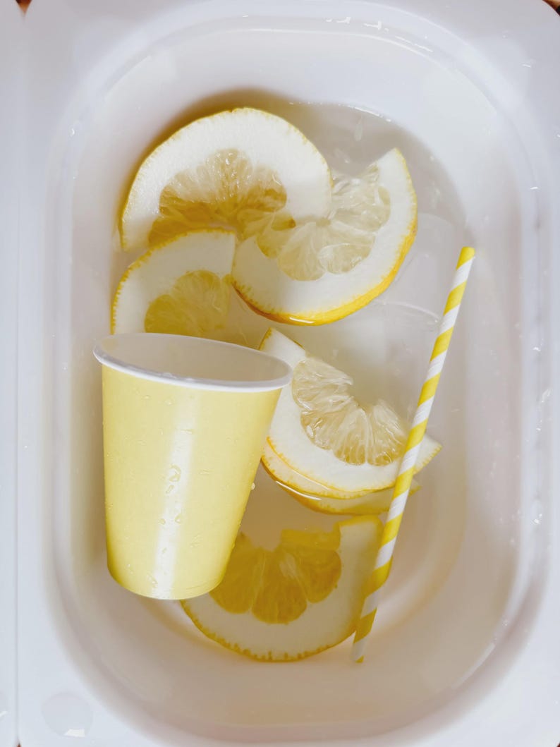 Lemonade Stand Pretend Play Printable | Toddler Summer Activity | Dramatic Play Lemonade Stand | Kids Business Play | Preschool Learning image 19