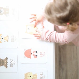 Montessori Toddler Gift, Woodland Animal Flashcard, Mejor regalo educativo para 1 año de edad, Actividad tranquila, Actividad preescolar, PreK Classroom