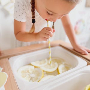 Lemonade Stand Pretend Play Printable | Toddler Summer Activity | Dramatic Play Lemonade Stand | Kids Business Play | Preschool Learning image 10