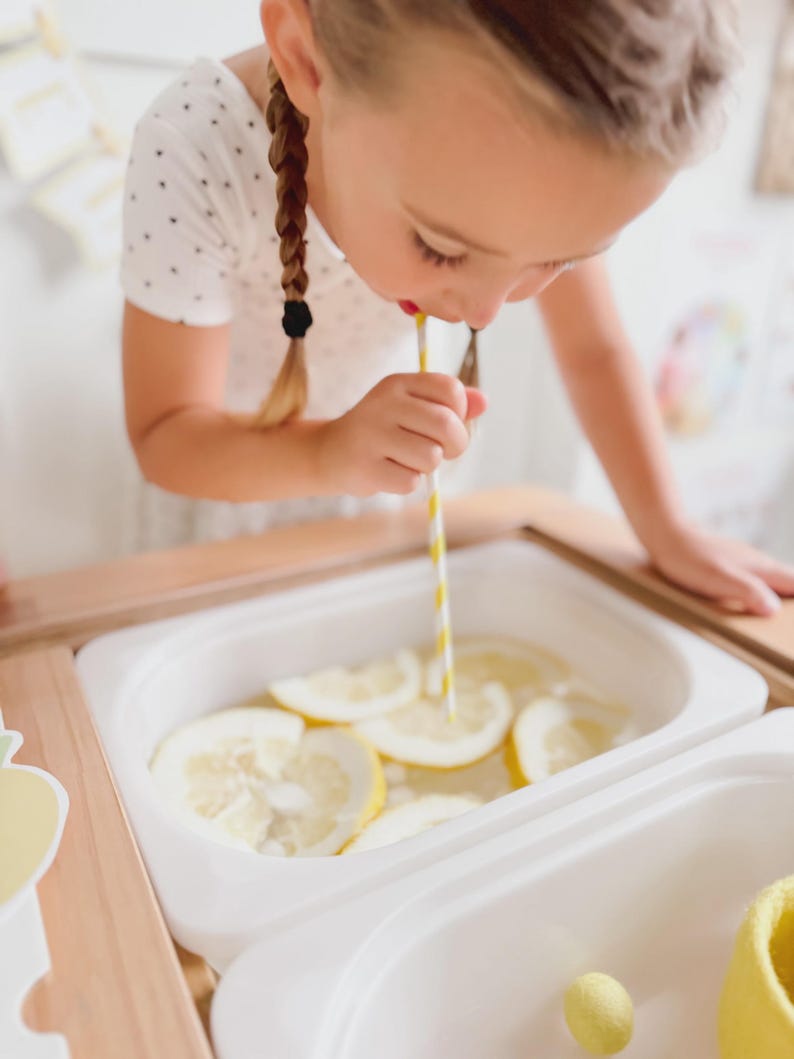 Lemonade Stand Pretend Play Printable | Toddler Summer Activity | Dramatic Play Lemonade Stand | Kids Business Play | Preschool Learning image 10