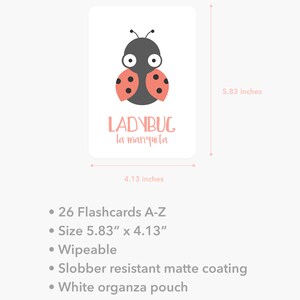 May include: A set of 26 alphabet flashcards featuring a ladybug illustration. The cards are 14.8 cm by 10.5 cm and are wipeable. They come with a white organza pouch.