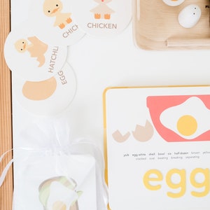 May include: A set of educational flashcards for children featuring images and words related to eggs, chickens, and ducks. The cards are colorful and feature illustrations of a chick hatching from an egg, a chicken, a duck, and an egg. The cards also include the words "egg", "hatchling", "chick", and "chicken".