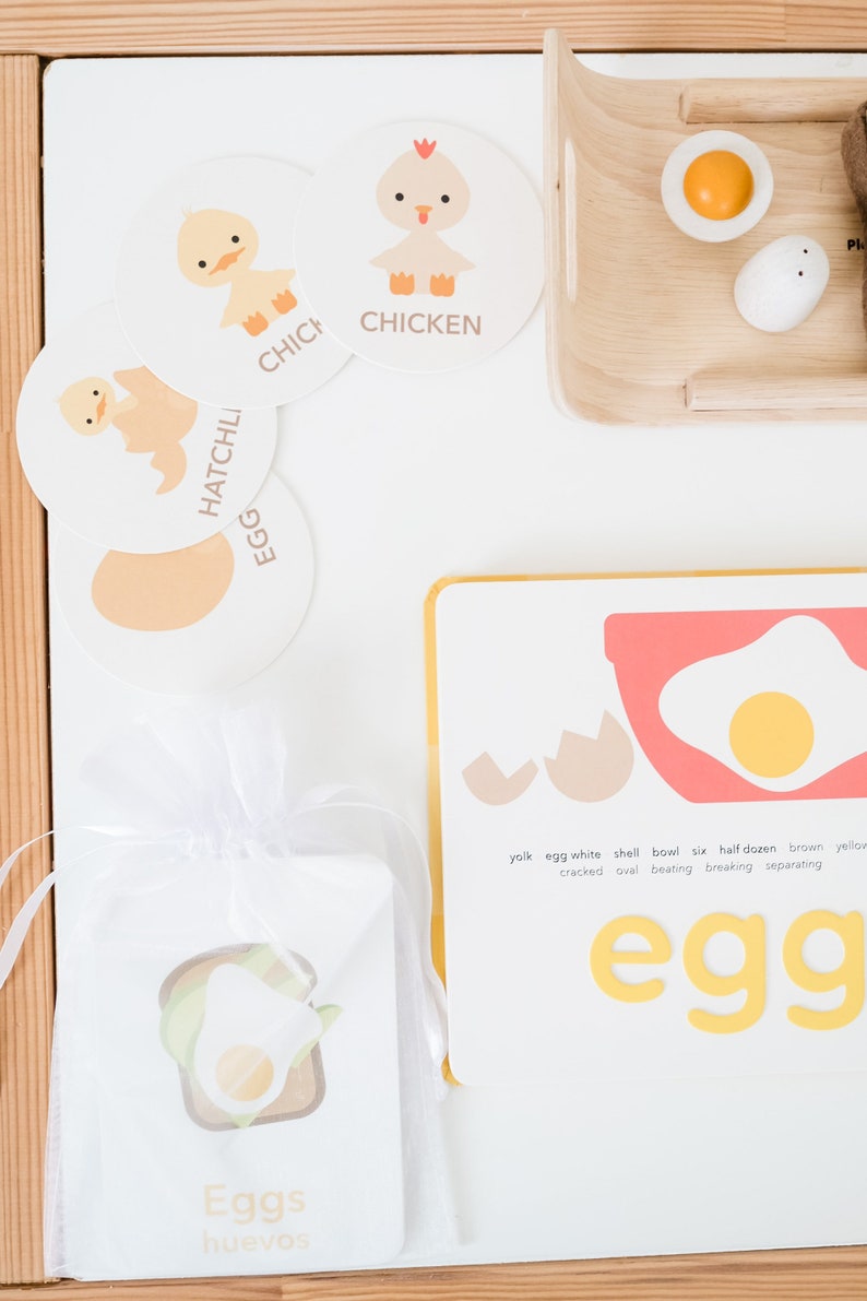 May include: A set of educational flashcards for children featuring images and words related to eggs, chickens, and ducks. The cards are colorful and feature illustrations of a chick hatching from an egg, a chicken, a duck, and an egg. The cards also include the words "egg", "hatchling", "chick", and "chicken".
