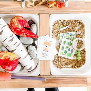 Camping Printable Dramatic Play Set and Sensory Bin Accessories image 7