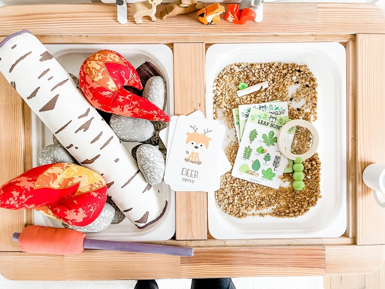 Camping Printable Dramatic Play Set and Sensory Bin Accessories image 7