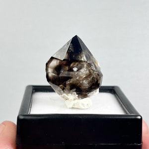 Enhydro Quartz - Enhydro Crystal -  Australian Smoky Quartz - Enhydro - Smoky Quartz