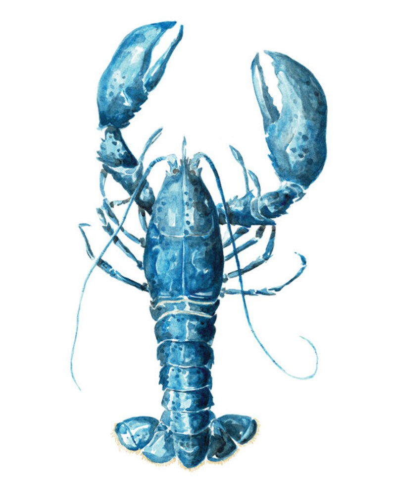 Blue Lobster 8 X 10 Watercolor Print Coastal Artwork Etsy
