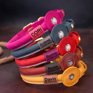 Può includere: Una pila di cinque collari per cani in pelle colorati con targhette personalizzate con nome e numeri di telefono. I collari sono in tonalità di rosa, rosso, marrone, giallo e blu.