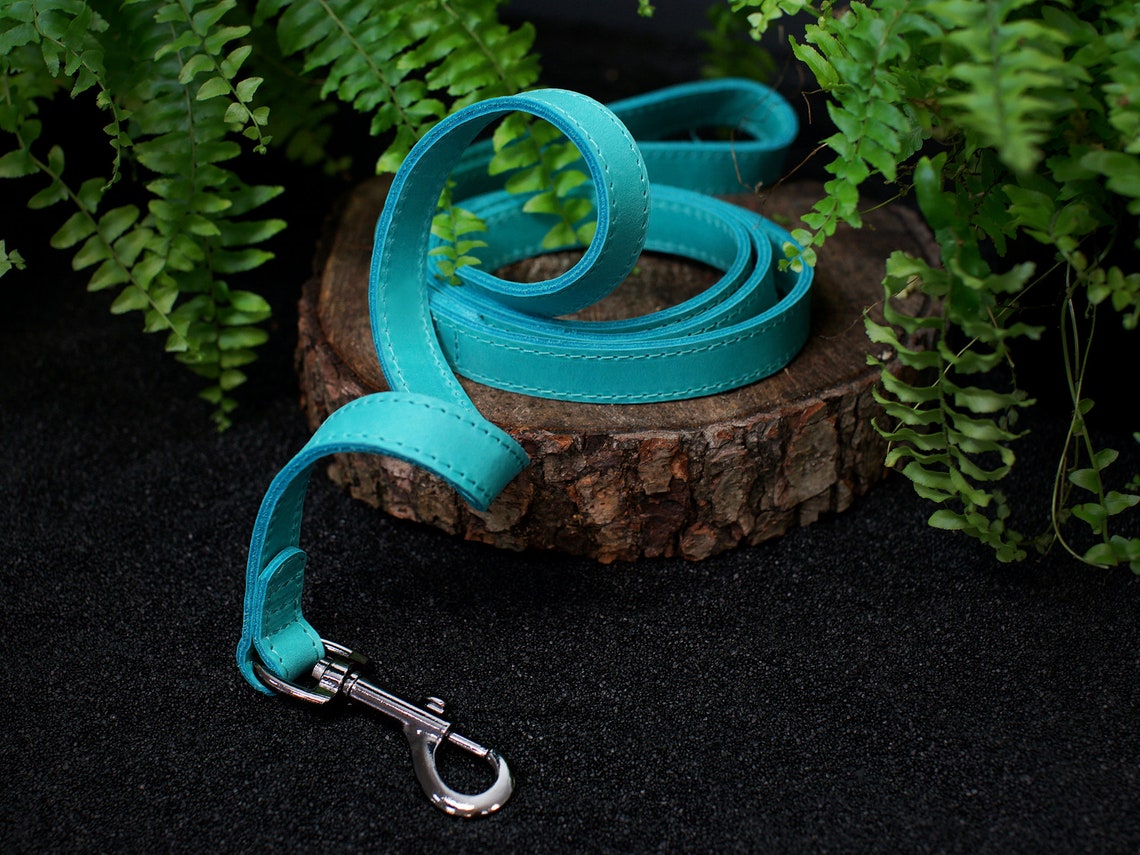 Leather Dog Leash Personalized Dog Leash 5FT Durable Dog Etsy