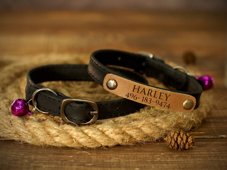 May include: Two black leather cat collars with silver buckles and purple bells. One collar has a tan leather nameplate with the name "HARLEY" and a phone number. The collars are displayed on a thick rope.