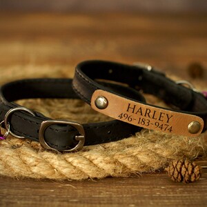 Puede incluir: Dos collares de perro de cuero negro con una etiqueta de cuero marr&oacute;n grabada con el nombre "HARLEY" y el n&uacute;mero de tel&eacute;fono "496-183-9474".