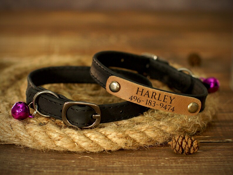 Puede incluir: Dos collares de perro de cuero negro con una etiqueta de cuero marr&oacute;n grabada con el nombre "HARLEY" y el n&uacute;mero de tel&eacute;fono "496-183-9474".