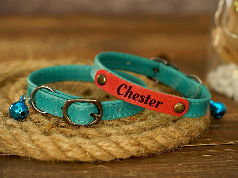 Puede incluir: Dos collares de cuero para gatos, uno azul turquesa y otro rojo con el nombre "Chester" grabado. Ambos collares tienen una peque&ntilde;a campana.