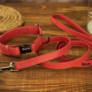 May include: A coral-colored dog collar and leash set. The collar has a black buckle with the name "Rosie" printed on it. The matching leash also has "Rosie" printed on it. The set is made of a soft material and has silver-colored hardware.