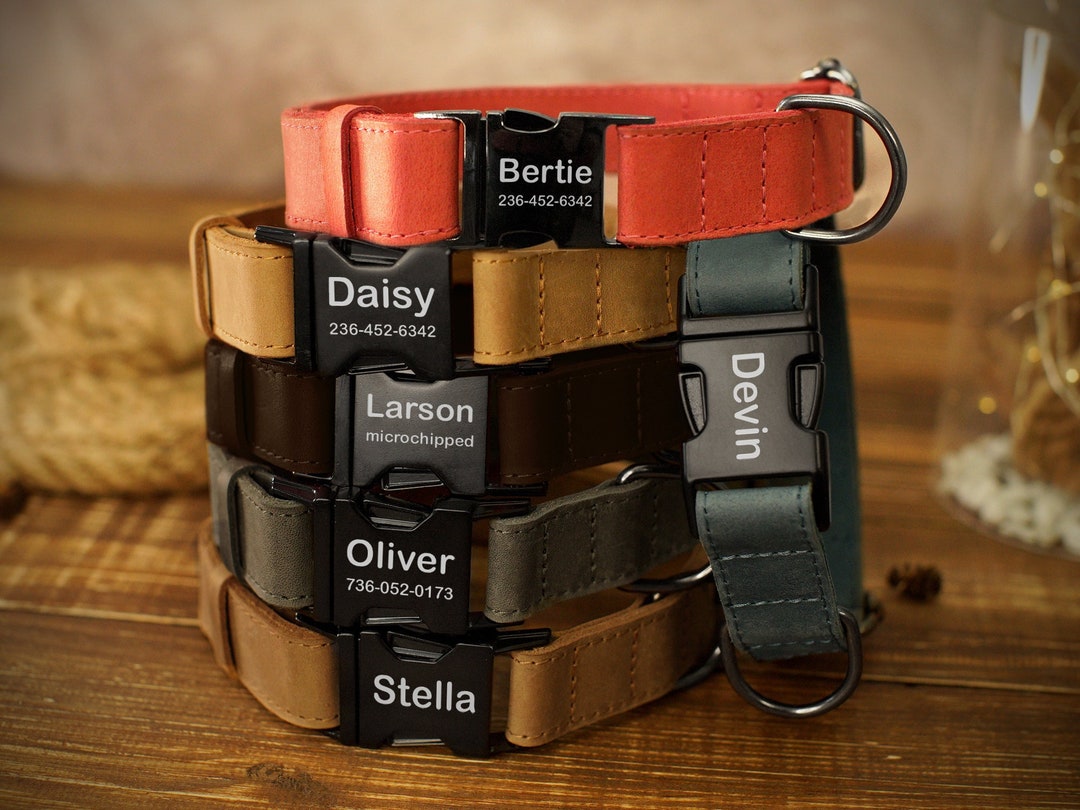Personalized Dog Collar, Leather Dog Collar With Engraved Metal Buckle ...