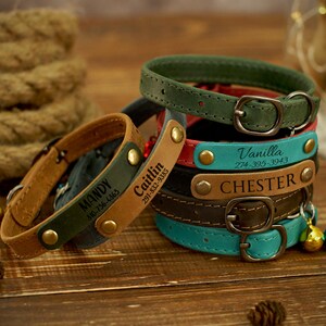 Puede incluir: Una pila de cinco collares de perro de cuero personalizados en varios colores, incluyendo verde, marr&oacute;n, azul y rojo. Cada collar tiene una hebilla de lat&oacute;n y una campana de metal. Los collares est&aacute;n grabados con nombres y n&uacute;meros de tel&eacute;fono: Mandy 486-736-4863, Caitlin 291-822-9355, Vanilla 274-395-3943 y Chester.