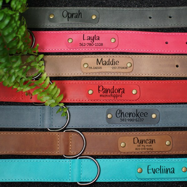 Male Dog Collar Etsy