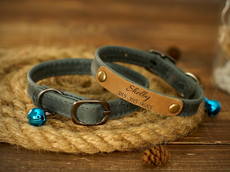 Puede incluir: Un collar de gato de cuero azul con una etiqueta de cuero marr&oacute;n que dice "Shelby 385-305-9685".