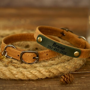 Puede incluir: Un collar de cuero marr&oacute;n para gato con una etiqueta de nombre de cuero verde. La etiqueta de nombre est&aacute; grabada con el nombre "Bruno" y un n&uacute;mero de tel&eacute;fono. El collar tiene una peque&ntilde;a campanilla dorada.