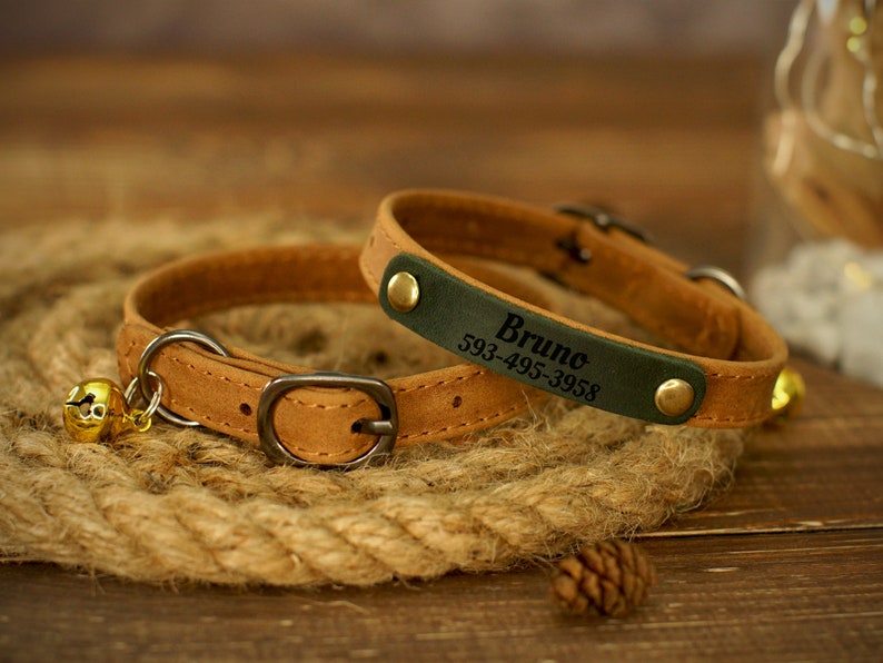 Puede incluir: Un collar de cuero marr&oacute;n para gato con una etiqueta de nombre de cuero verde. La etiqueta de nombre est&aacute; grabada con el nombre "Bruno" y un n&uacute;mero de tel&eacute;fono. El collar tiene una peque&ntilde;a campanilla dorada.