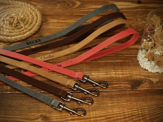 Leather Dog Leash with Handle, Personalized Pet Leash for Small Medium Large Dogs, Puppy Leash, Soft Padded Dog Leash, Leather Dog Lead